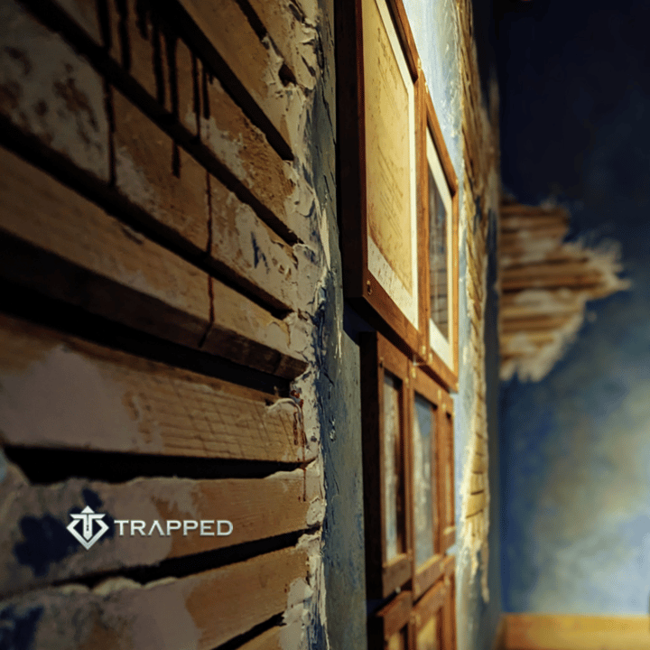 Main image for Trapped - Newmarket