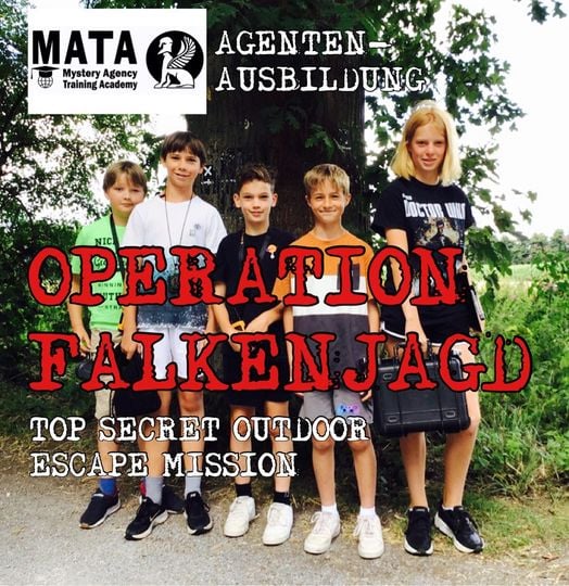 Main image for Mystery Agents
