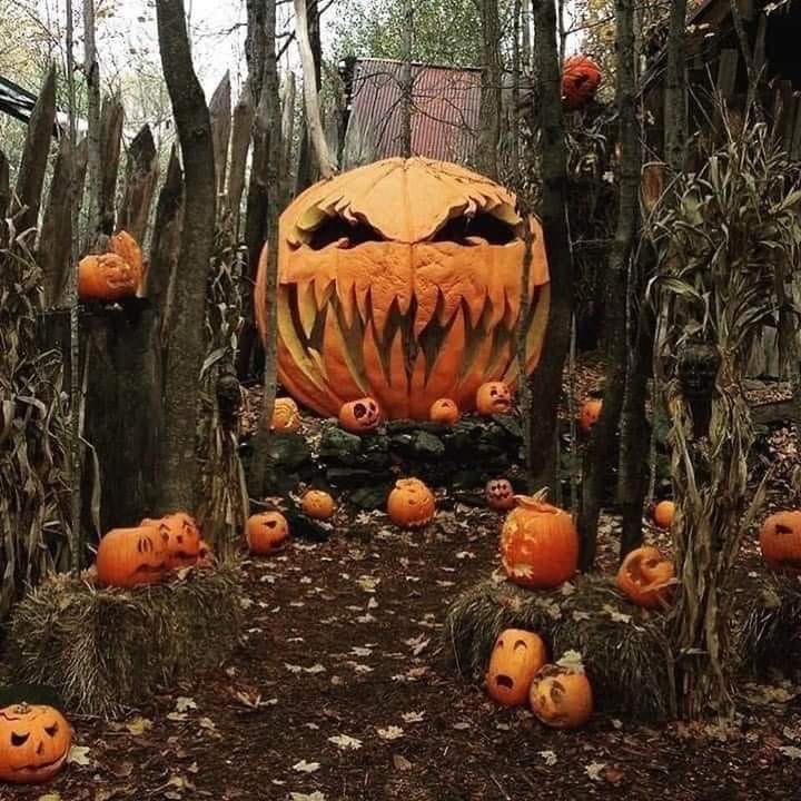 Main image for Grim's Haunted House