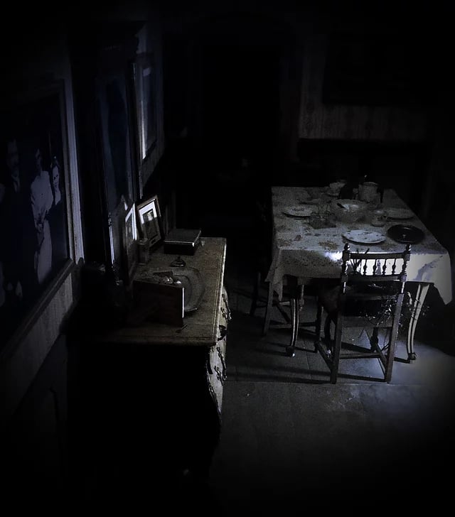 Main image for PANIK ROOM
