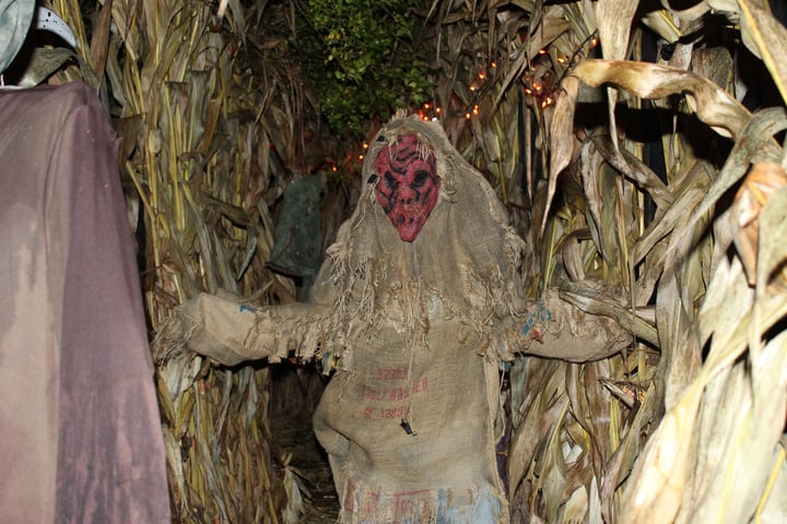 Main image for Rosewood's Haunted Maze