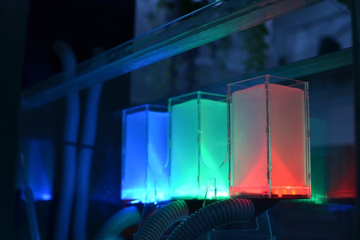 Main image for Limited Energy