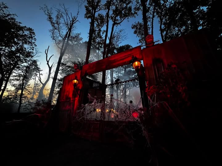 Main image for Diggers Trail Of Terror