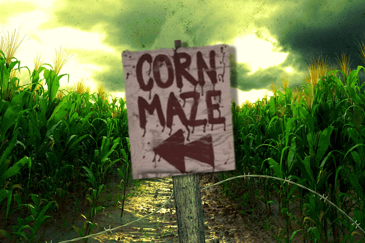 Main image for Terror In The Corn