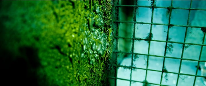 Main image for Project Immersive