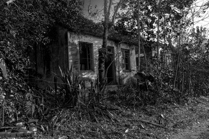Main image for Fight Or Flight Escapes