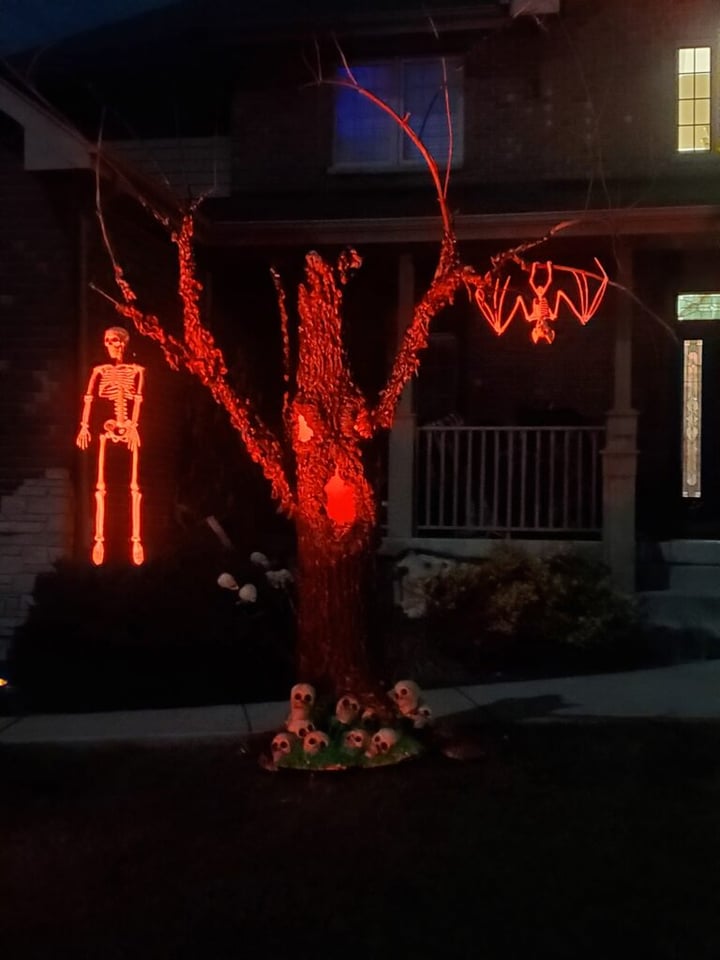 Main image for Fright Night in Feather Rock