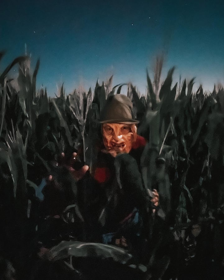 Main image for P Bar Farms
