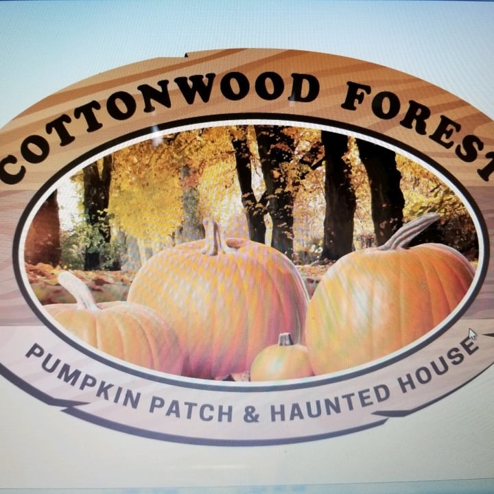 Main image for Cottonwood Forest