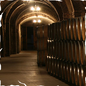 Main image for Entelequia Escape Room