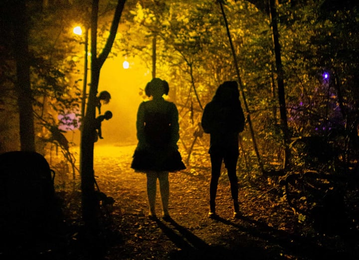 Main image for Brimstone Haunt