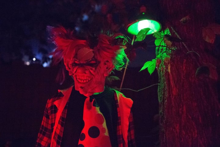 Main image for The Haunted Castle And Black Forest
