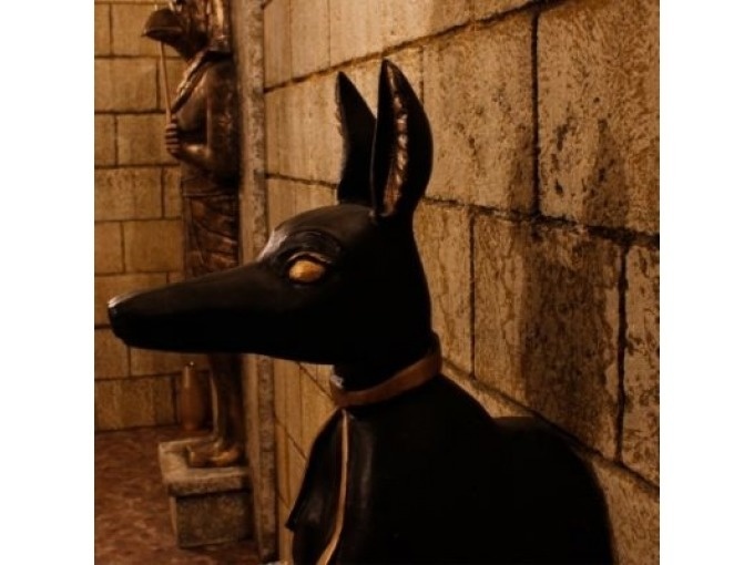 Main image for BoTag