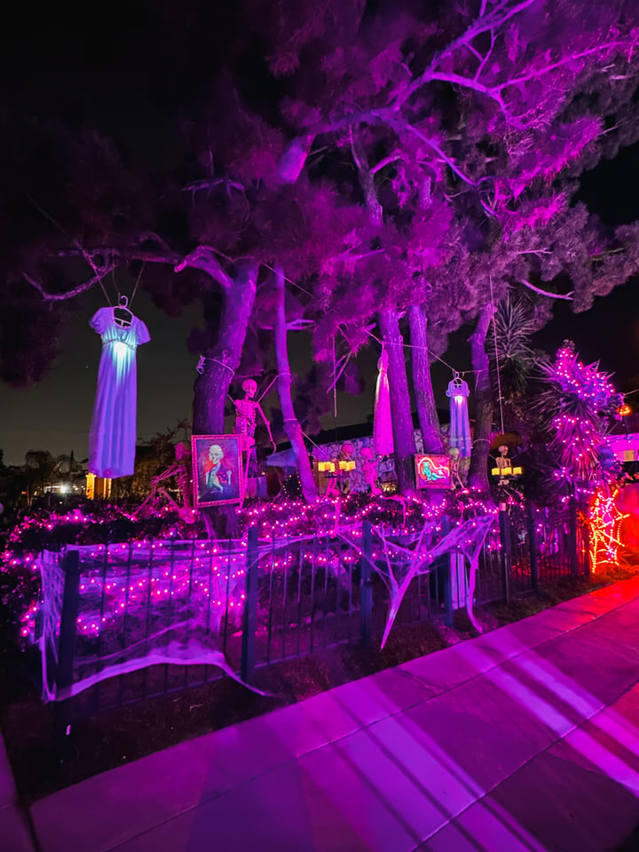 Main image for The Holiday Magic Home