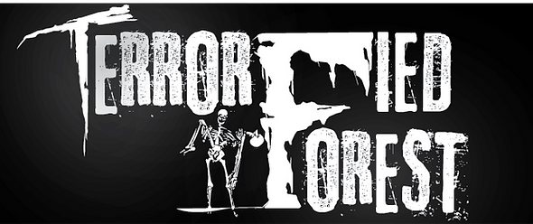 Main image for Terrorfied Forest