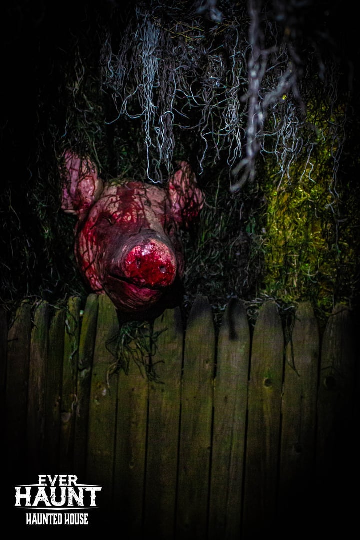 Main image for Everhaunt Haunted House