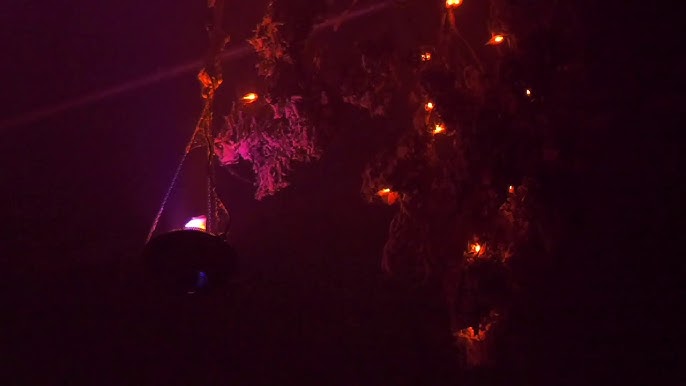 Main image for ValleyScare