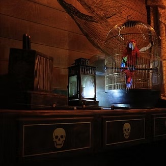 Main image for The Escape Cube