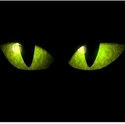 Main image for The Hidden Haunted Attraction