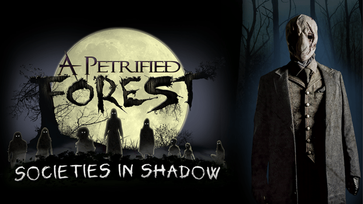 Main image for A Petrified Forest