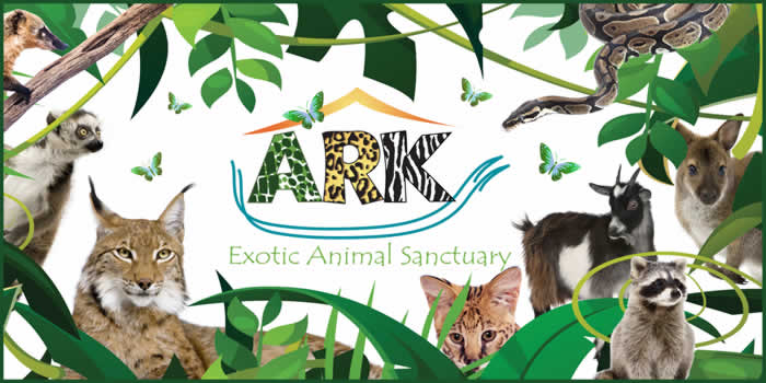 Main image for ARK Wildlife Park