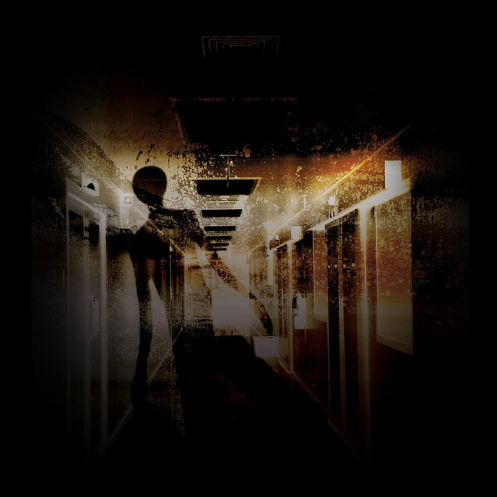 Main image for FeelReal