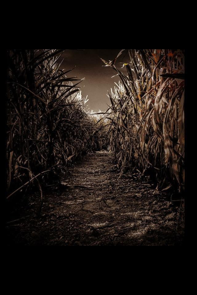 Main image for Darnell Farms
