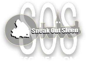 Main image for Sneak Out Sleen - Online