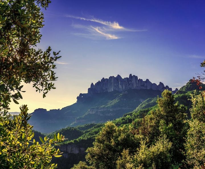Main image for VisitEscape Montserrat
