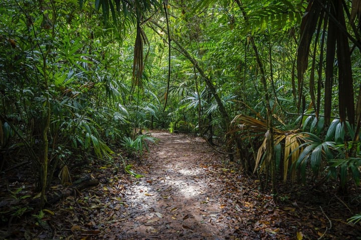 Main image for Escape Hilo