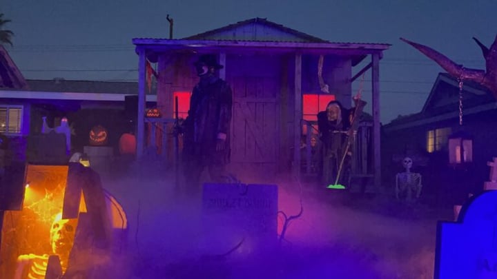 Main image for The Curse of the Raven