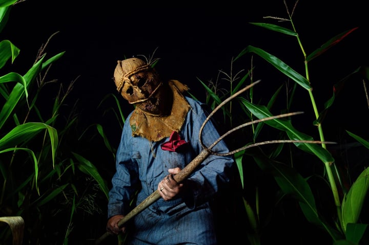 Main image for Double M's Haunted Hayride