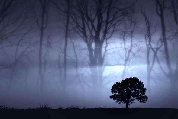 Main image for Escape Hays