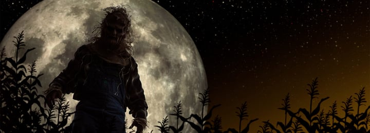 Main image for Insanity Farms