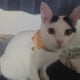 @2573Kiwi