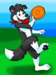 @Dizfoley