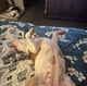 @highplateauproductions