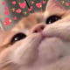@louise27