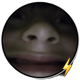 @Orangemandan