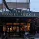 @monkeypuzzle