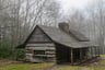 Cabin in the Woods