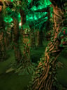 La Forêt de Falderon [Falderon Forest]