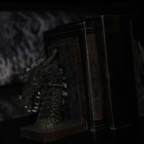 The Book of The Dragons