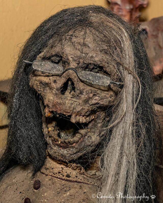 Bloodview Haunted House