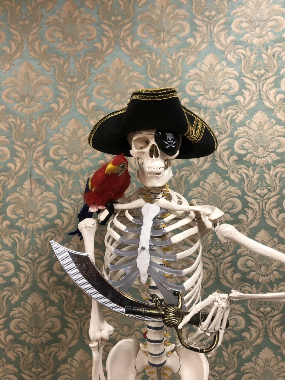De Schat van Davy Jones [The Treasure of Davy Jones ] [VR]