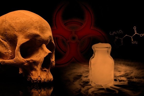 The Laboratory
