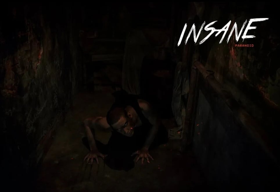 Insane Paranoid
