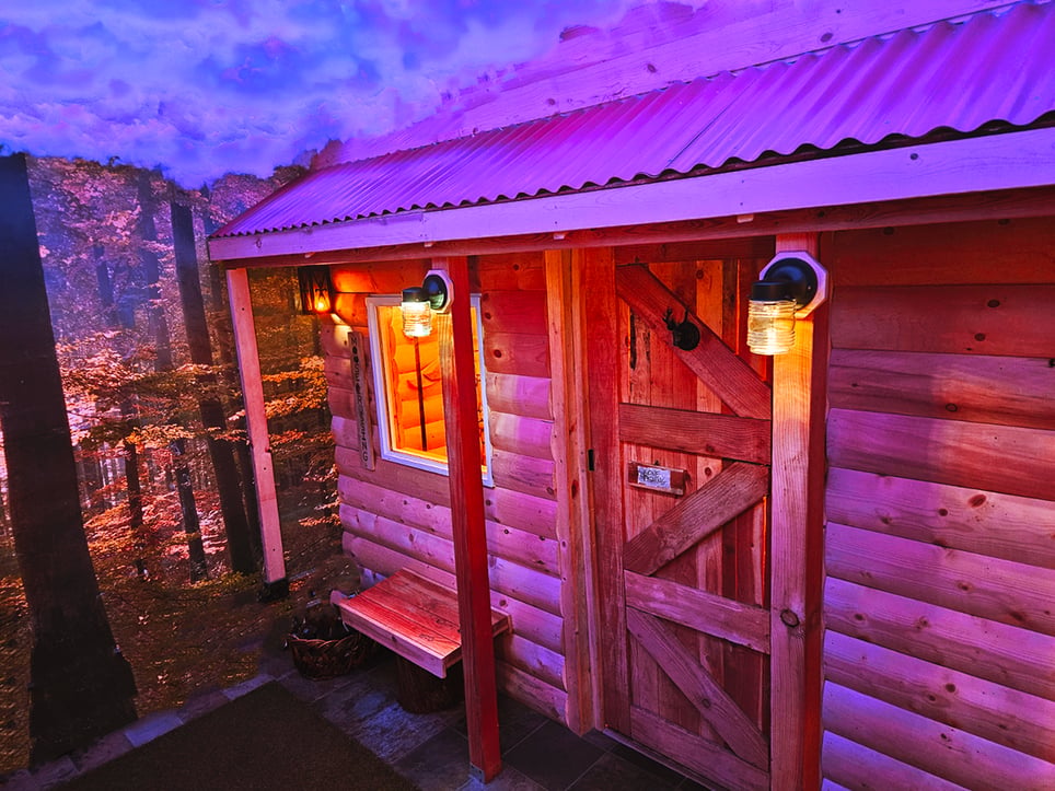 Cabin In The Woods