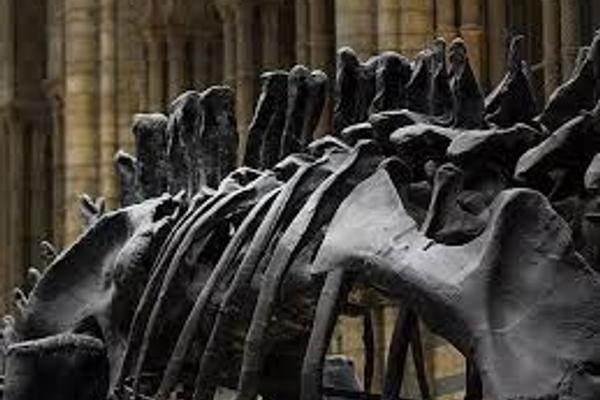The Museum Heist