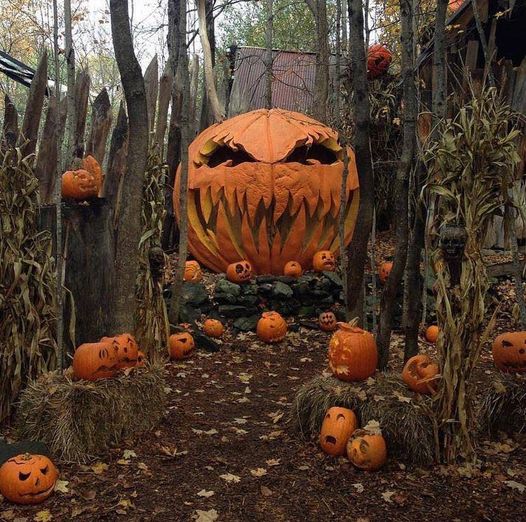 Halloween Festival